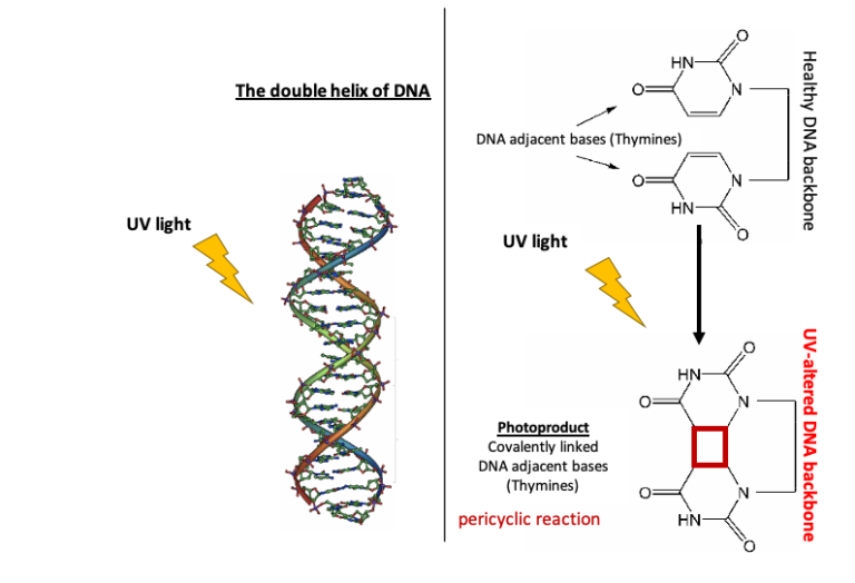 effect of uv light on crypto